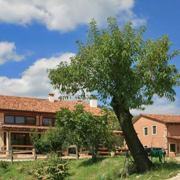 Agriturismo Monte degli Aromi، فندق في Villaga