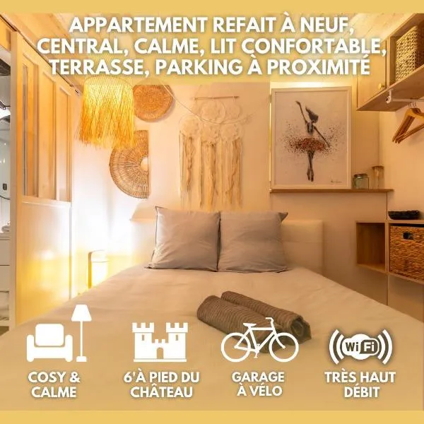 Blois hypercentre, calme, charme avec terrasse, hotel di Blois