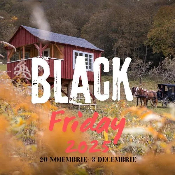 Valea Verde Retreat Transilvania, hotel in Cund