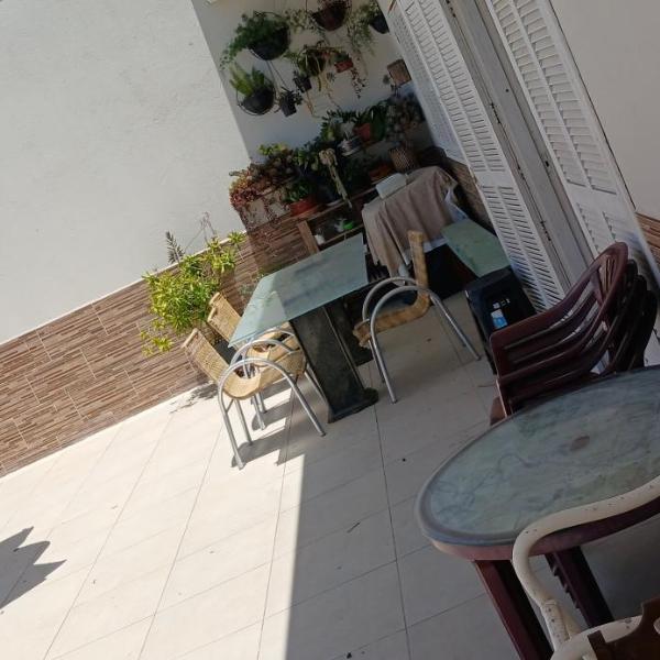 Festrose - Foto 5