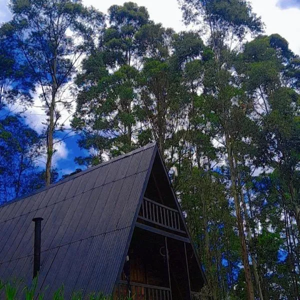 Chalé da Mantiqueira SFX , Pet friendly，位于圣若泽杜斯坎普斯的酒店