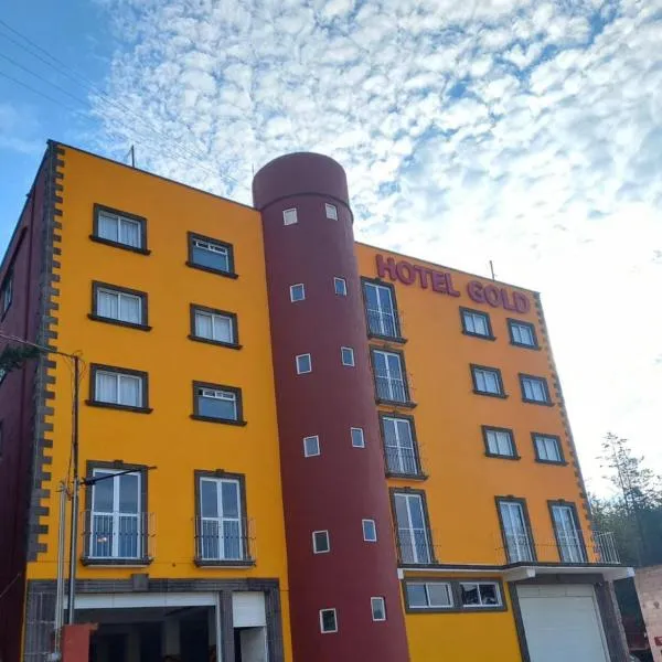 HOTEL GOLD, hotel in El Oro de Hidalgo