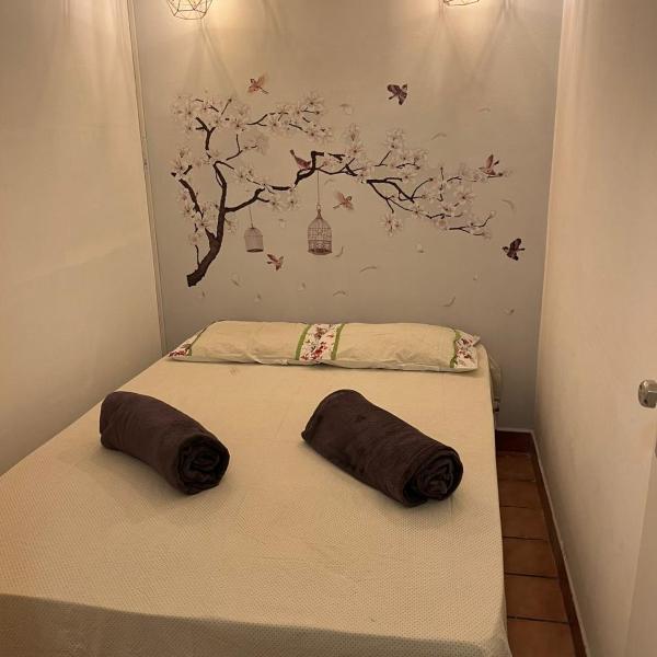 Canto do Florescer - Foto 3