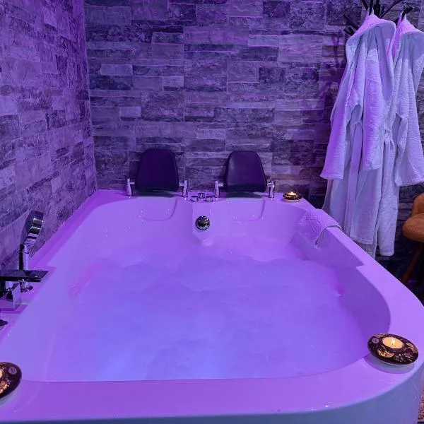 Dubai Spa Apartment #1 - Jacuzzi & Sauna Free Parking, hotel in Novi Sad