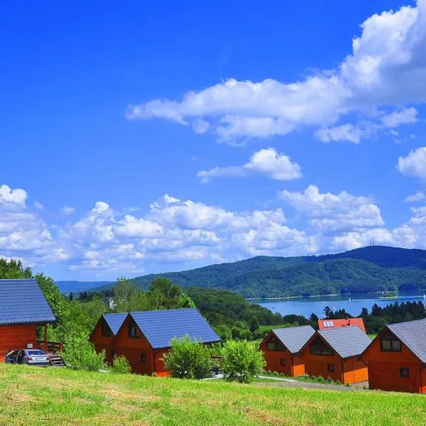 BUENA VISTA POLAŃCZYK domki z klimatyzacją 506 - 289 - 019, hotel u gradu 'Olchowiec'