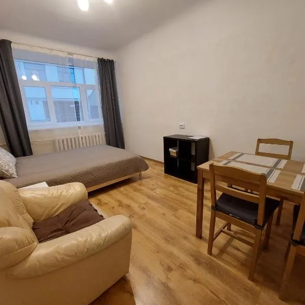 Comfy apartment with 2 bedrooms,里加的飯店