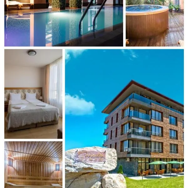 Cornelia Deluxe Residence，位于班斯科的酒店