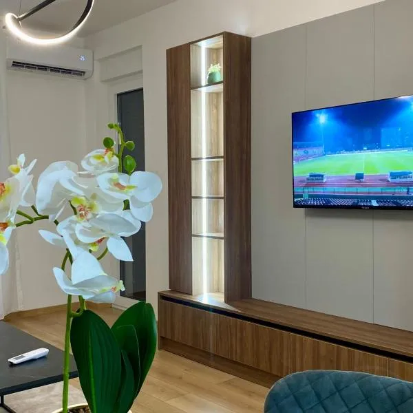 FILIP Lux Apartman sa garažom，多博伊的飯店