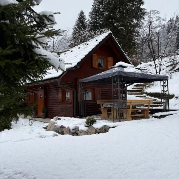 Cottage Ladybug, hotel in Mojstrana