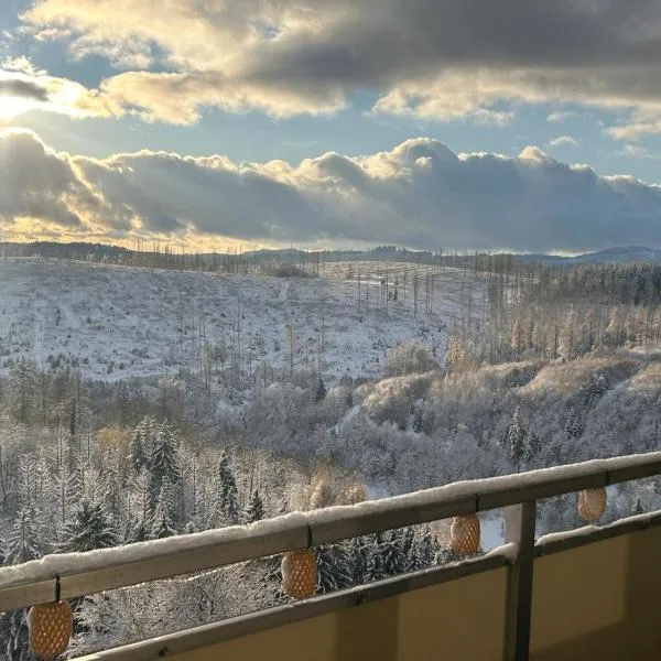 Modernes Harz Studio Apartment Ferienwohnung über den Baumspitzen, hotel en Braunlage