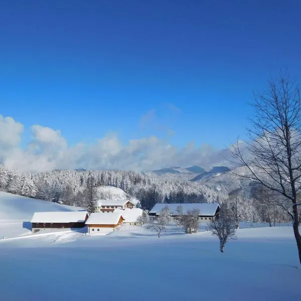 Urlaub am Bauernhof Blamauer Köhr, hotel in Göstling an der Ybbs