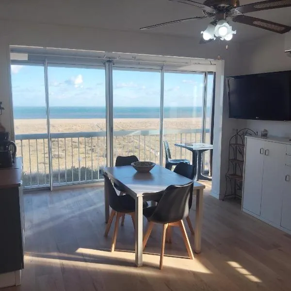 Bel appartement spacieux front de mer, hotel en Le Barcarès