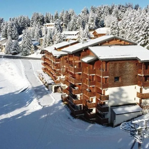 Appartement 4 personnes au pied des pistes, hotel a Les Déserts