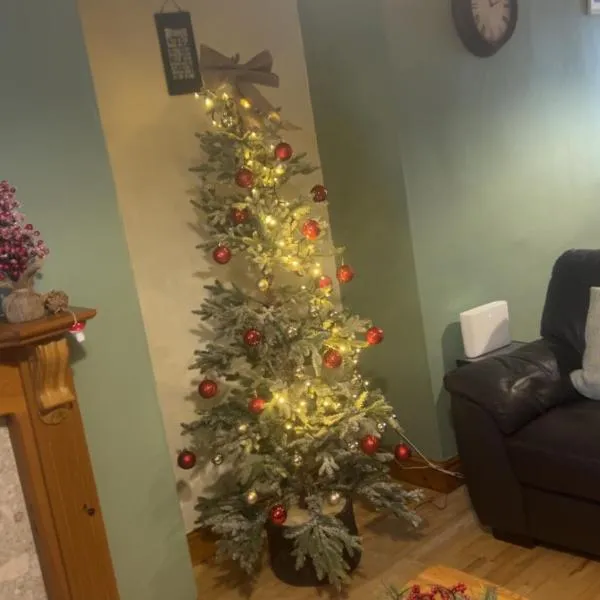 Llwyn Celyn 2 bedroom, отель в городе Бала