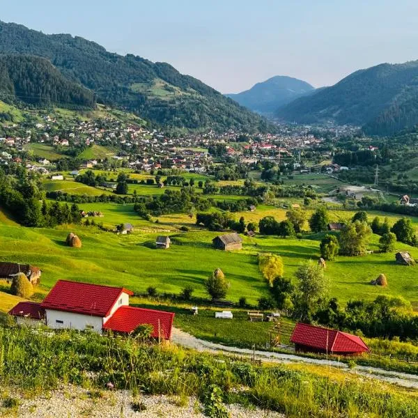 Origini de Rucar, отель в городе Рукэр
