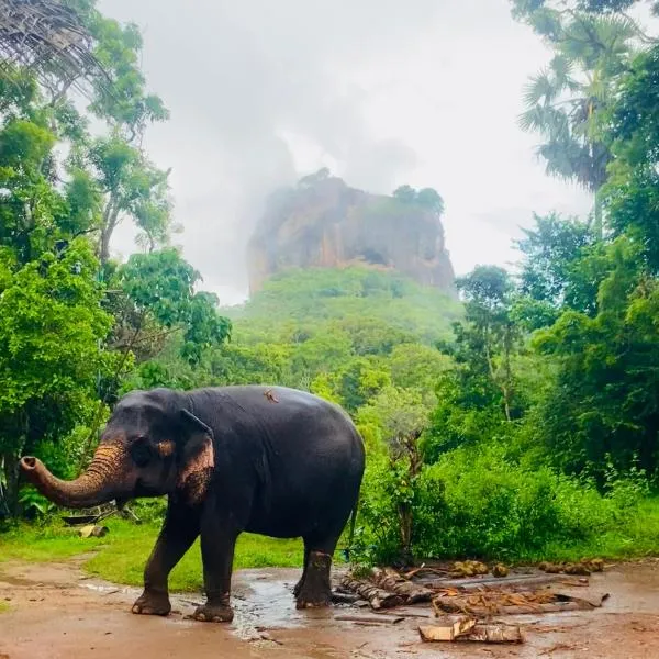 Zensigiri Ayurveda Wellness Homestay，位于锡吉里亚的酒店