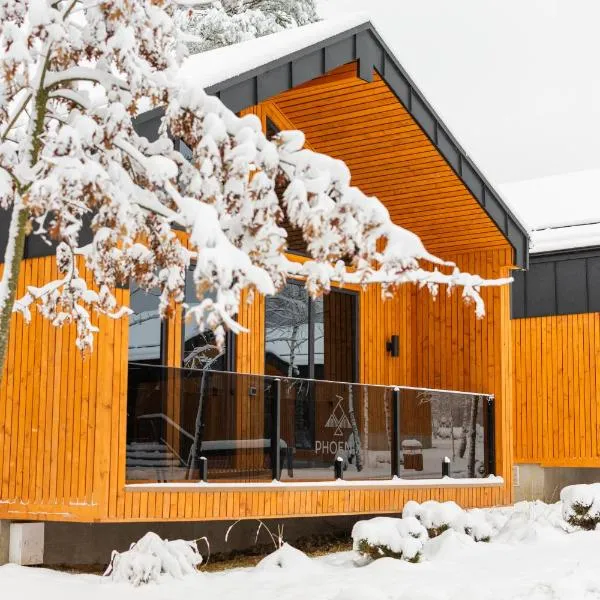 Phoenix Medical Resort, hotel em Skhidnitsa