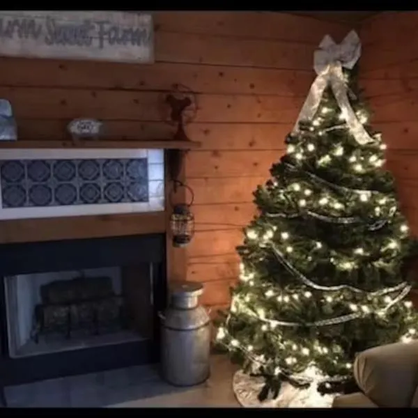 Cozy, pet friendly cabin perfect for the holidays!!, hotel v destinácii Branson