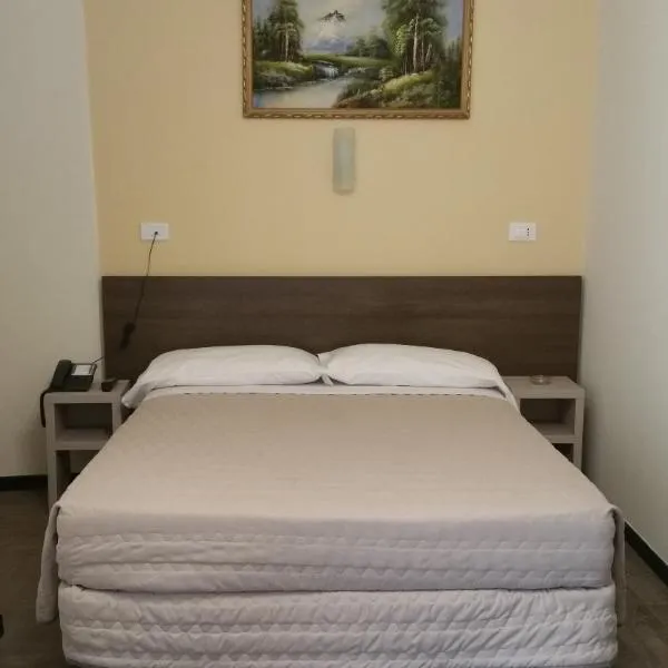 Hotel Tommaseo, hotel v Janove