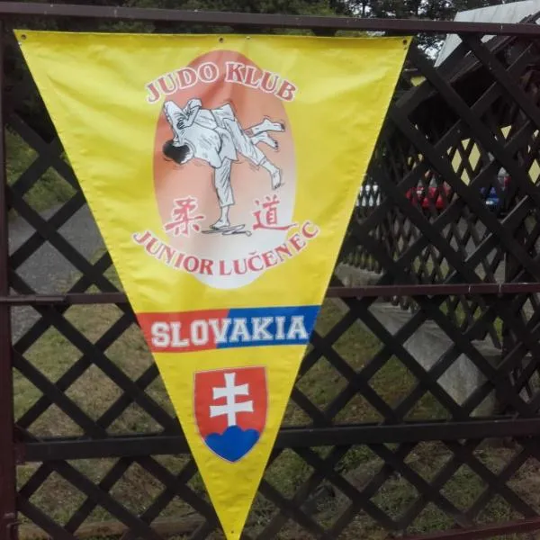 Turistická ubytovňa Hotel Divin, hotel v destinaci Divín