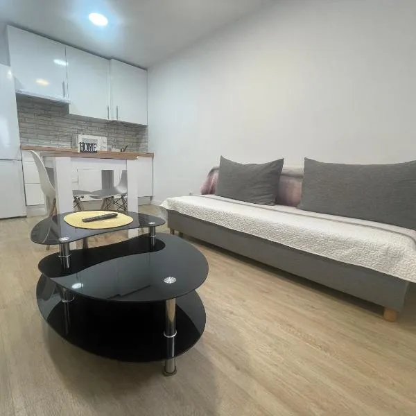 Céntrico apartamento muralla 2，位于卢戈的酒店