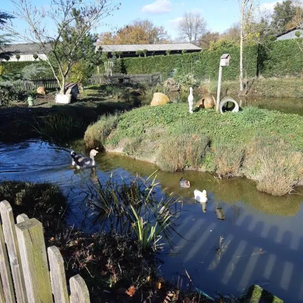 La mare aux canards, hotel en Châteauvieux
