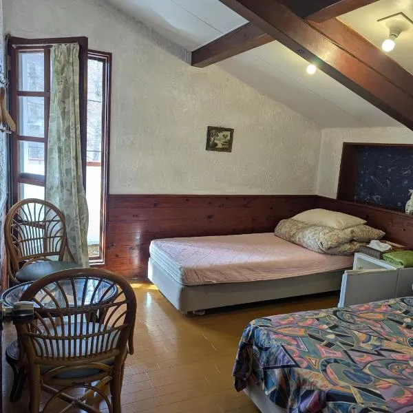 Hachiko Inn, מלון במיוקו