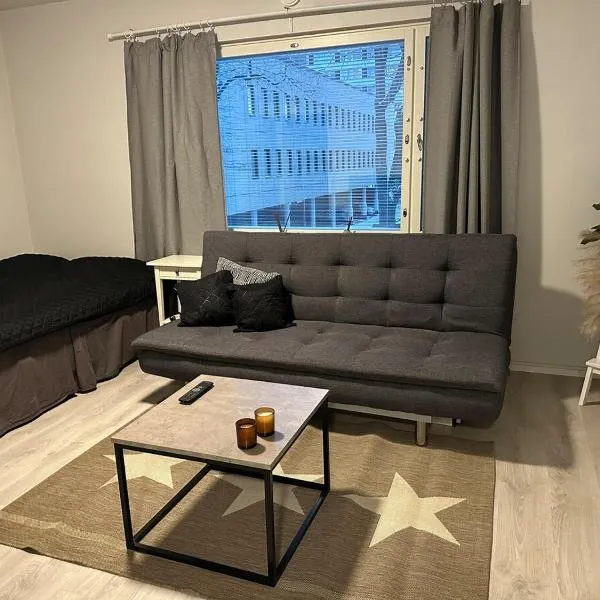 Functional studio in the center, Hotel in Turku