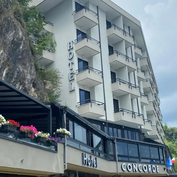 協和酒店，阿羅納的飯店