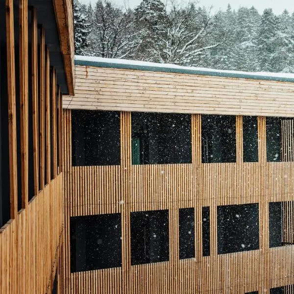 Dialog Kokhta, hotel v destinaci Bakuriani