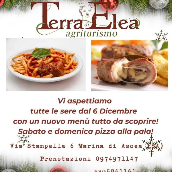 Agriturismo Terra Di Elea azienda agricola di Raimondo MIchela, hôtel à Ascea