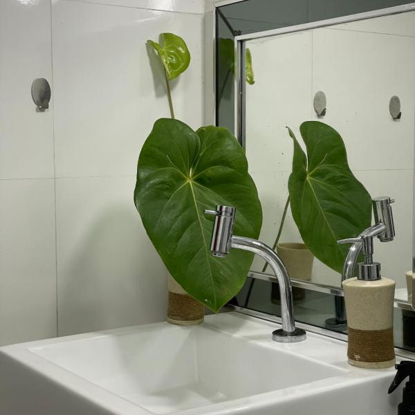 Cozy room - apartment in Geriba - Foto 3