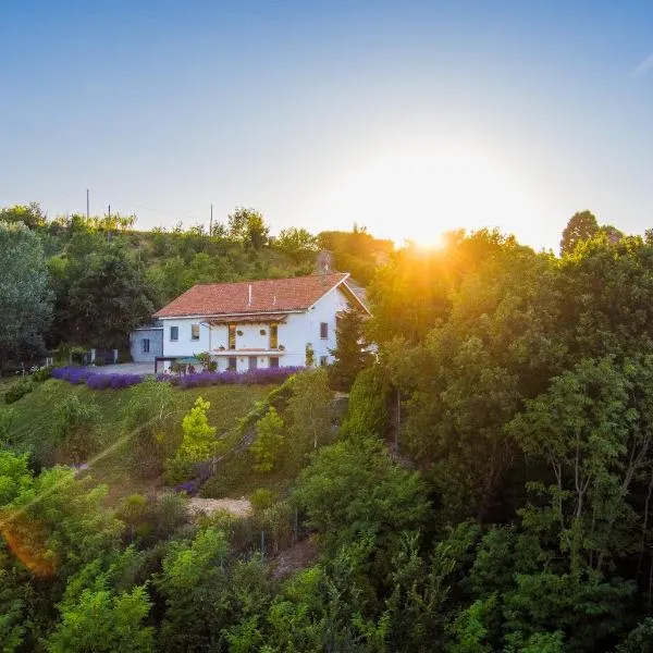 Guest House Ferri e Zani, hotel sa Cavatore