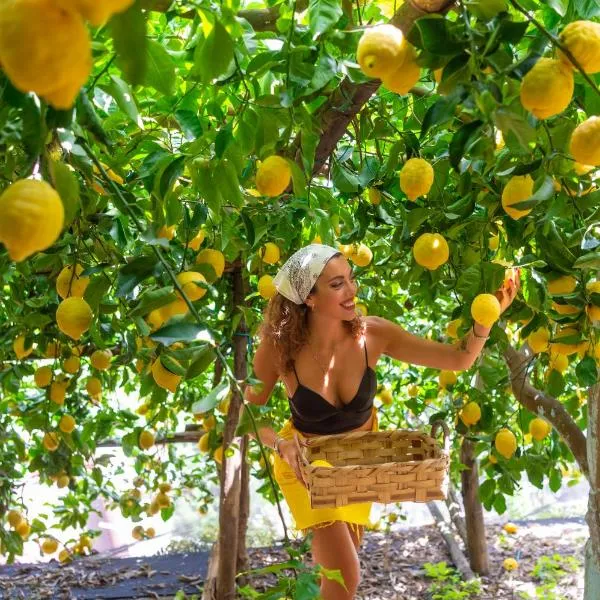 Hotel La Pergola, hotel din Amalfi