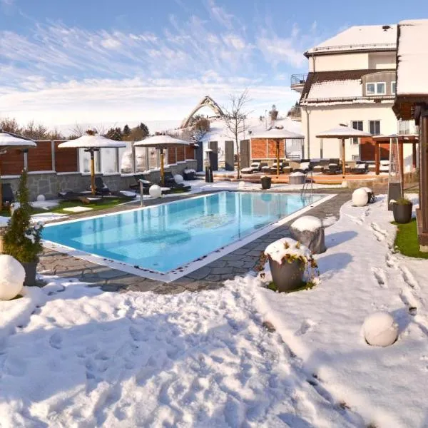 Vakantiehotel Der Brabander, hotel u Winterbergu