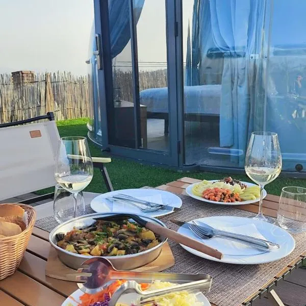 Sky Dome - Alushllari's Farm、ポグラデツのホテル