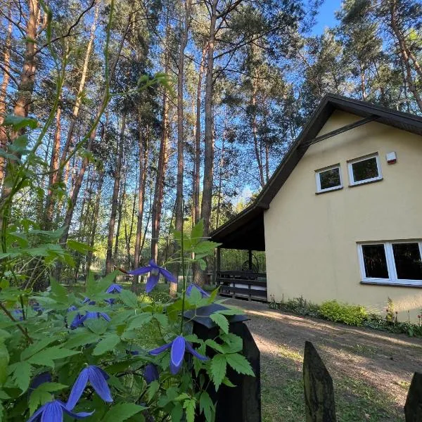 Kurort Mirowice, hotel en Mirowice