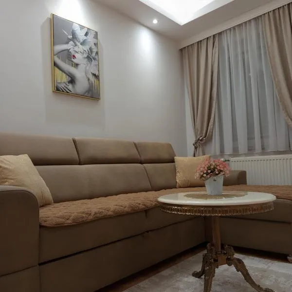 Apartman Gold King，布爾奇科的飯店