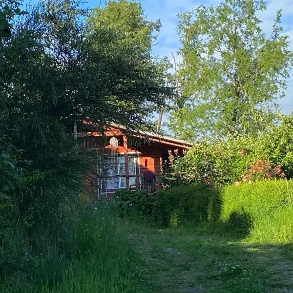 Cabañas La Vovó Futrono，Ranco的飯店