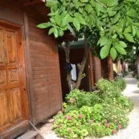 Olympos Doga Pansiyon, hotel v destinaci Olympos