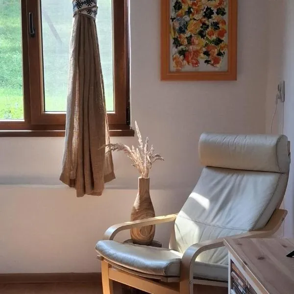 Agroturism Sesuri 151, hotel in Şesuri