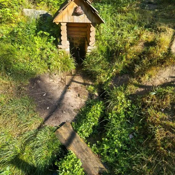 Apartmány Javorek, hotel ve Sněžné