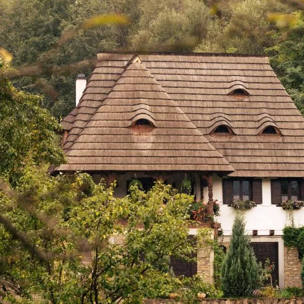 River Song Inn, hotel in Vişeu de Jos