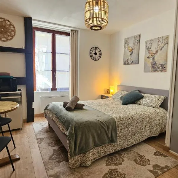 Le Remède - Studio calme hyper-centre Orléans โรงแรมในออร์เลออง