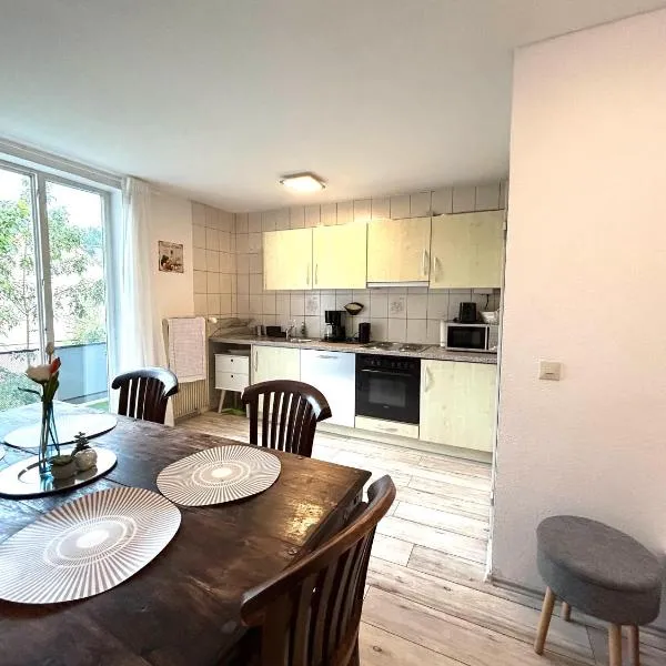 Apartment Alb Glück 1, ξενοδοχείο σε Jungingen