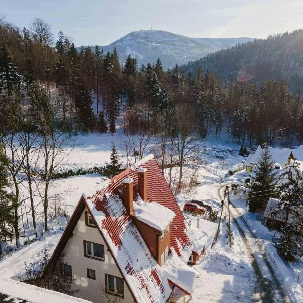 Folkowy Dom dla 14 osób z sauną i grillowiskiem - Dream Apart, hotel v destinaci Szczyrk