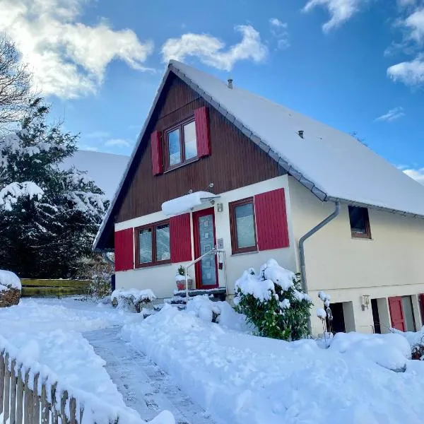 Seespatz, hotel v destinaci Diemelsee