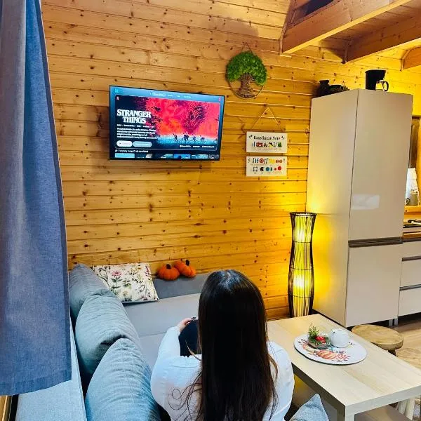 Dolina Bella - ogrzewany domek z balią, sauną i kominkiem w sercu Kaszub, hotel en Gołubie