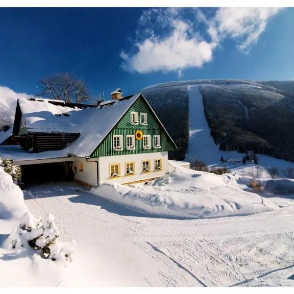 Pension Slunečnice & Panorama Restaurant Farma，位于什平德莱鲁夫姆林的酒店