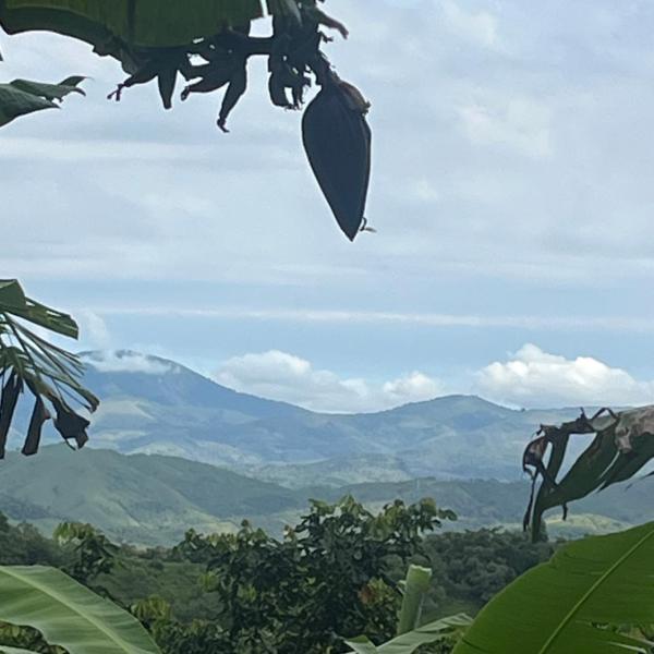 Sítio com água mineral, rio e cachoeira
